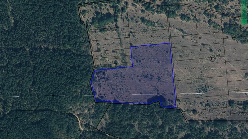 Продавам 28,781 дка земя в землишето на с. Славянци, обл. Бургас