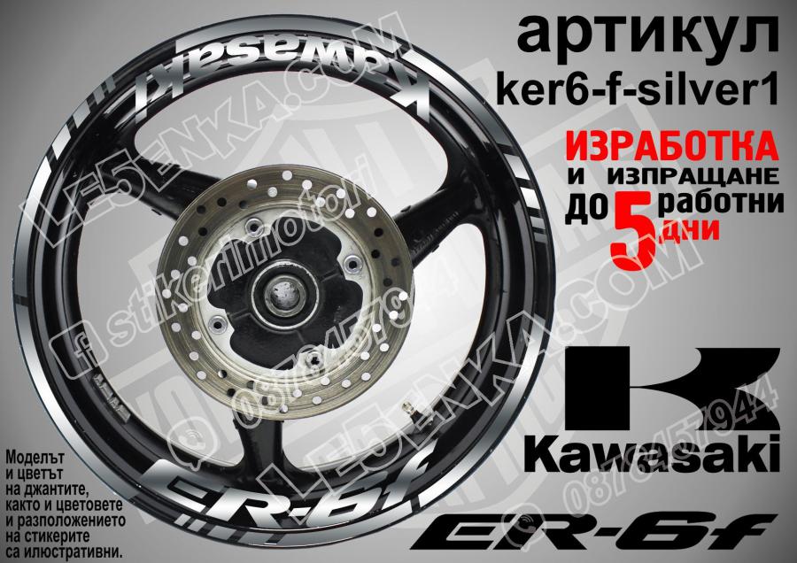 Kawasaki Er-6f Silver