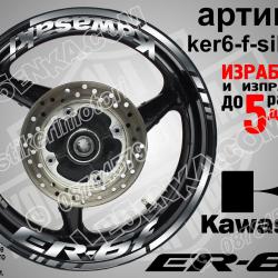 Kawasaki Er-6f Silver