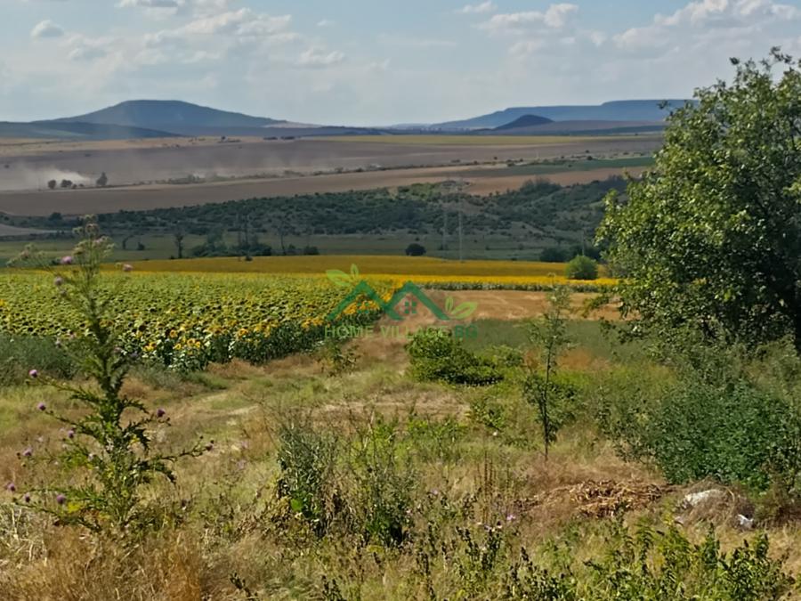 Два съседни урегулирани поземлени имота, с. Петров дол