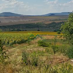 Два съседни урегулирани поземлени имота, с. Петров дол