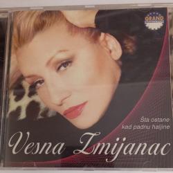 Vesna Zmijanac - Sta ostane kad padnu haljine