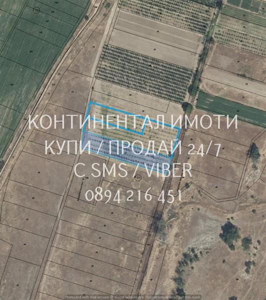 коддд 63113. Сливова градина 6300м2 с капково напояване и сонда, лесен