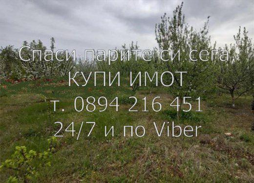 Код 61476. Овощна градина 5400м2- 30% от дърветата са череши, останали