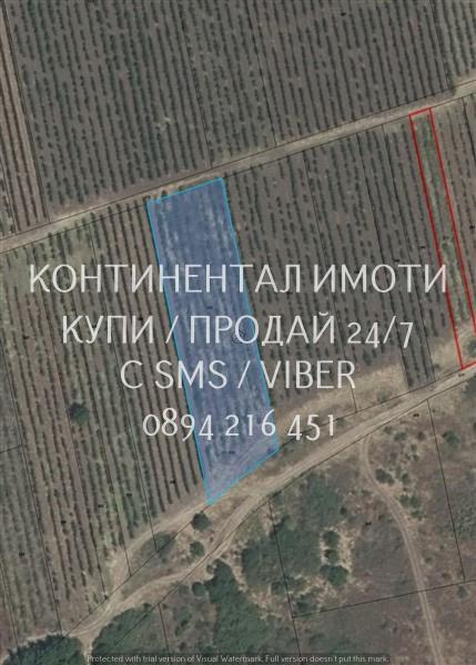 кодг 63208. Старо лозе 2400м2 в голям лозов масив, на около 1,5км от ш