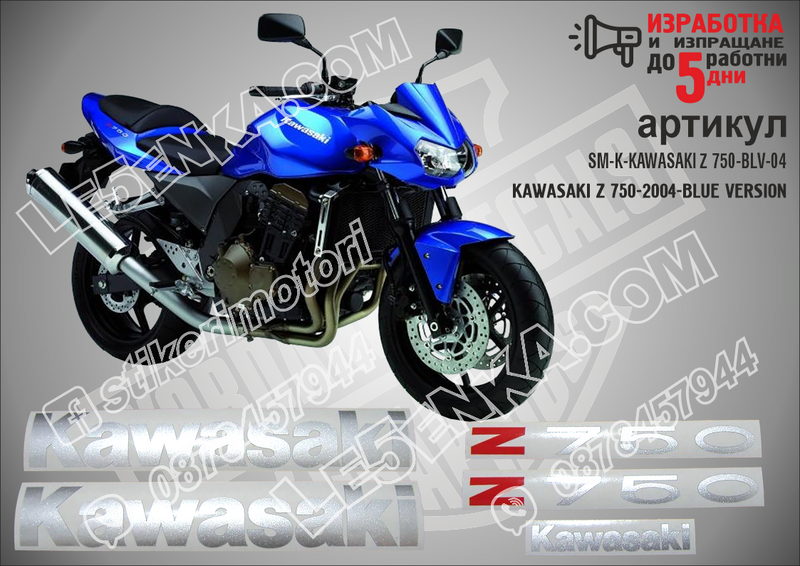Kawasaki Z 750 - 2004 - Blue Version