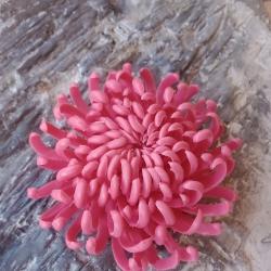 Ароматен декоративен сапун с форма на хризантема, ръчно изваян с нож