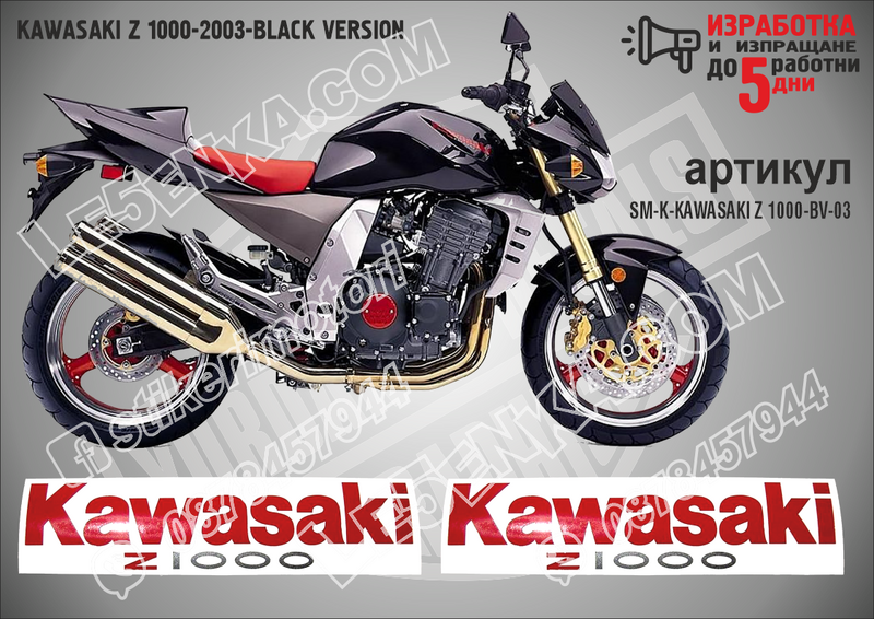 Kawasaki Z 1000-2003-black Version