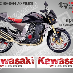 Kawasaki Z 1000-2003-black Version