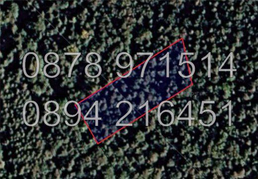 Код 61202. Поземлен имот гора от дърводобивна зона 2500м2 в м. Равнища