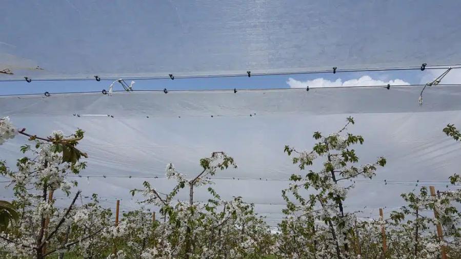 Скай Протект  Мрежи за селското стопанство и строителството