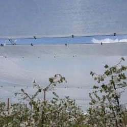 Скай Протект  Мрежи за селското стопанство и строителството