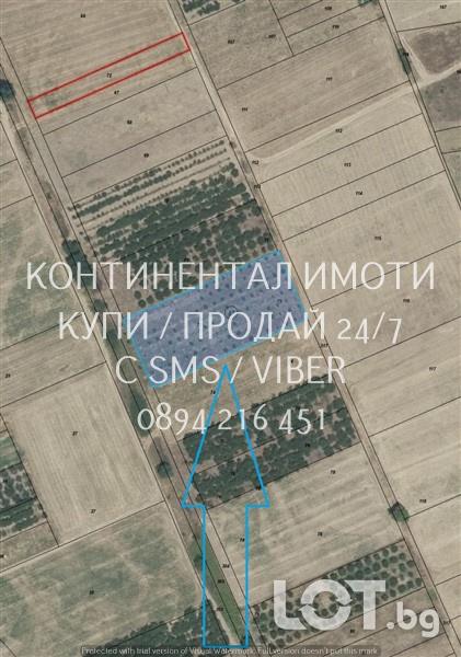 Код 70045. Черешова градина около 3500м2, кат. 4-та, на около 800м от