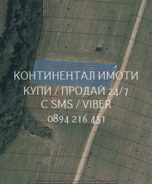 Код 63131.  Нива 5500м2 сега засята с лешници - италиански сортове. Зе..