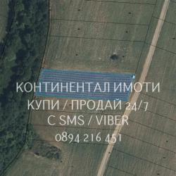 Код 63131.  Нива 5500м2 сега засята с лешници - италиански сортове. Зе..