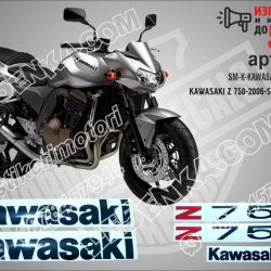 Kawasaki Z 750 - 2006 - Silver Version