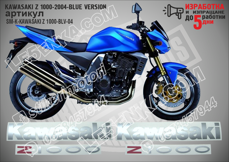 Kawasaki Z 1000-2004-blue Version