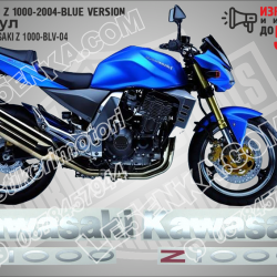 Kawasaki Z 1000-2004-blue Version