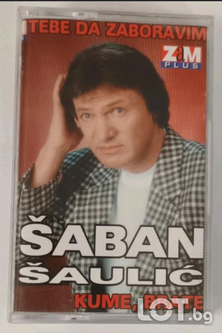 Saban Saulic - Tebe da zaboravim