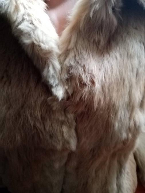 Дамско палтенце от заешки косъм, размер М-Л