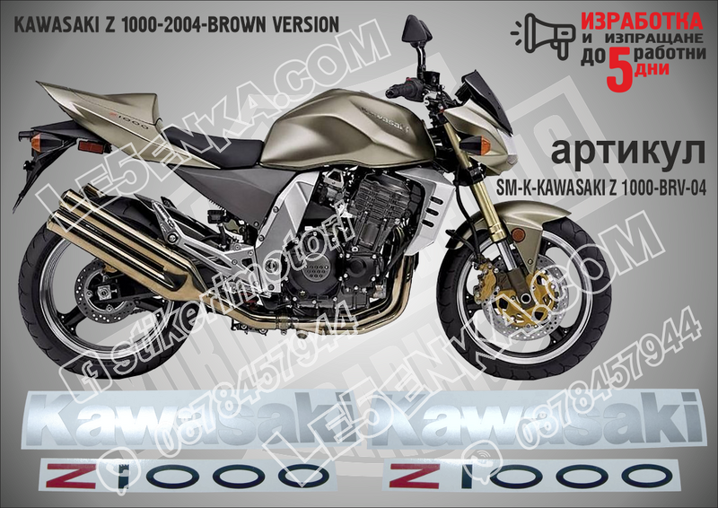 Kawasaki Z 1000-2004-brown Version