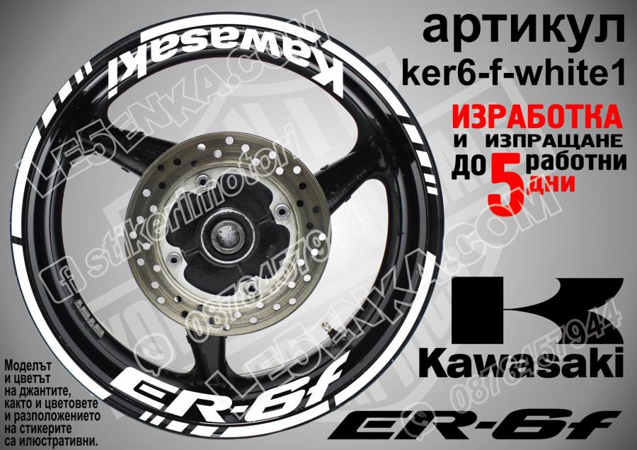 Kawasaki Er-6f White