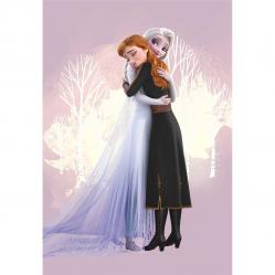 Хавлия за момиче 70х140см с Елза и Анна Disney Frozen