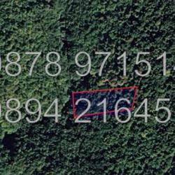 Код 61204. Поземлен имот гора, дървопроизводителна зона 3000м2 в м. Ба