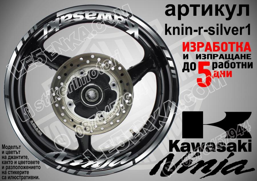 Kawasaki Ninja Silver