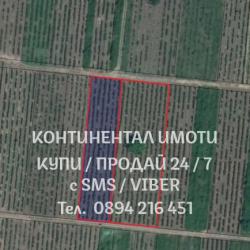 Код 62659. две съседни лозя 1800м2 и 2800м2, кат 3-та. Достъпът до лоз