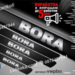 Volkswagen Bora прагове от карбон