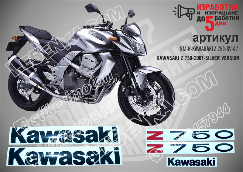 Kawasaki Z 750 - 2007 - Silver Version