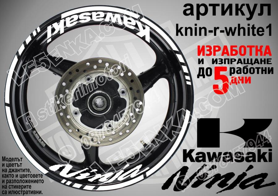 Kawasaki Ninja White