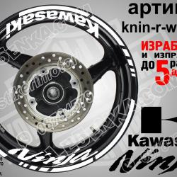 Kawasaki Ninja White