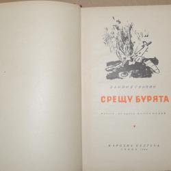 Срещу бурята - Даниил Гранин