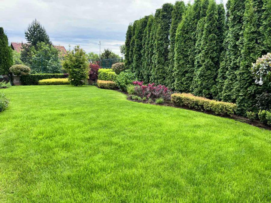 Абонаментна поддръжка на градина от Mr. Donchev