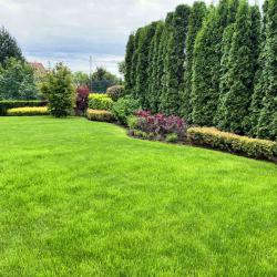 Абонаментна поддръжка на градина от Mr. Donchev