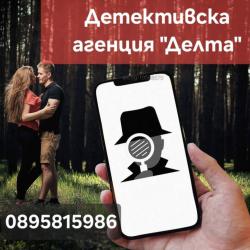 Професионален детектив