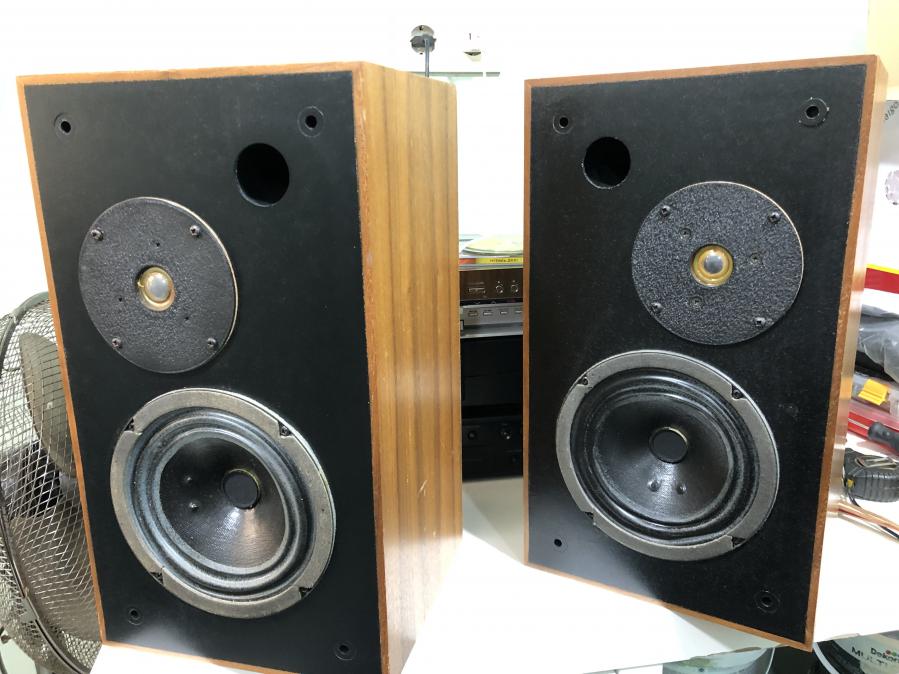 Двулентови тонколони Monitor Audio