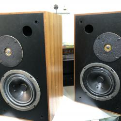 Двулентови тонколони Monitor Audio