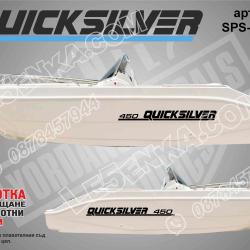 Quicksilver 450