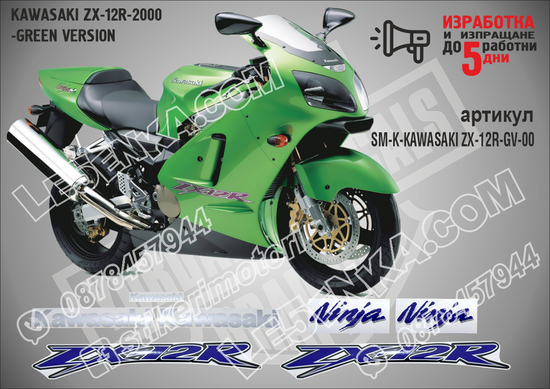 Kawasaki Zx-12r-2000-green Version