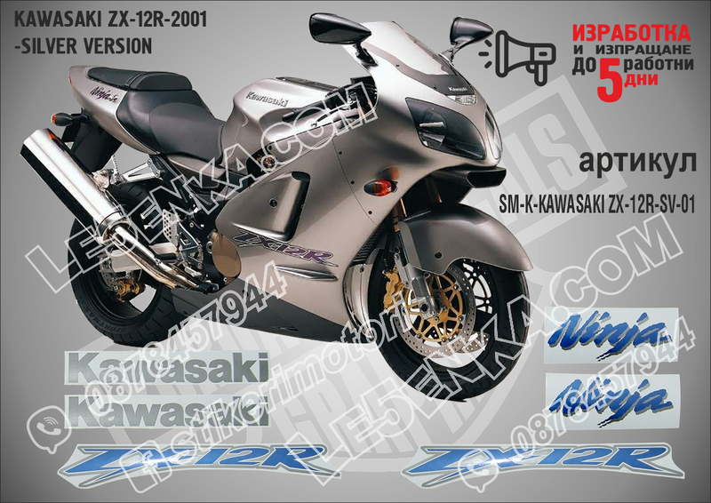 Kawasaki Zx-12r-2001-silver Version