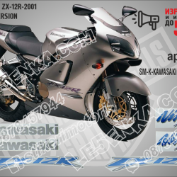 Kawasaki Zx-12r-2001-silver Version