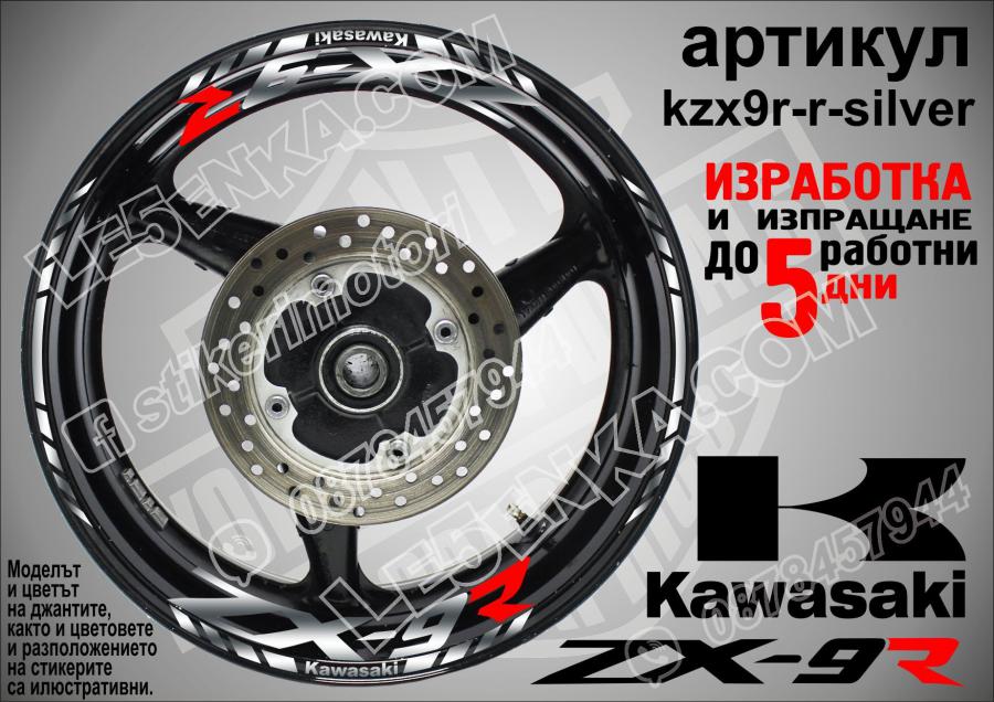 Kawasaki Zx-9r Silver надписи и кантове за джанти