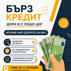 От 250 до 1000 евро