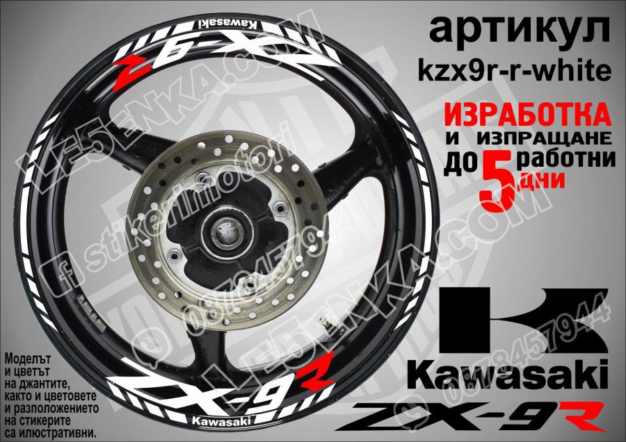 Kawasaki Zx-9r White надписи и кантове за джанти