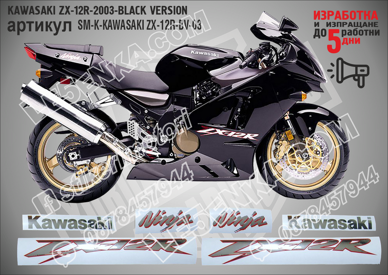 Kawasaki Zx-12r-2003-black Version