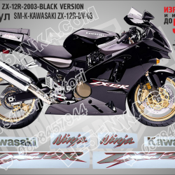 Kawasaki Zx-12r-2003-black Version