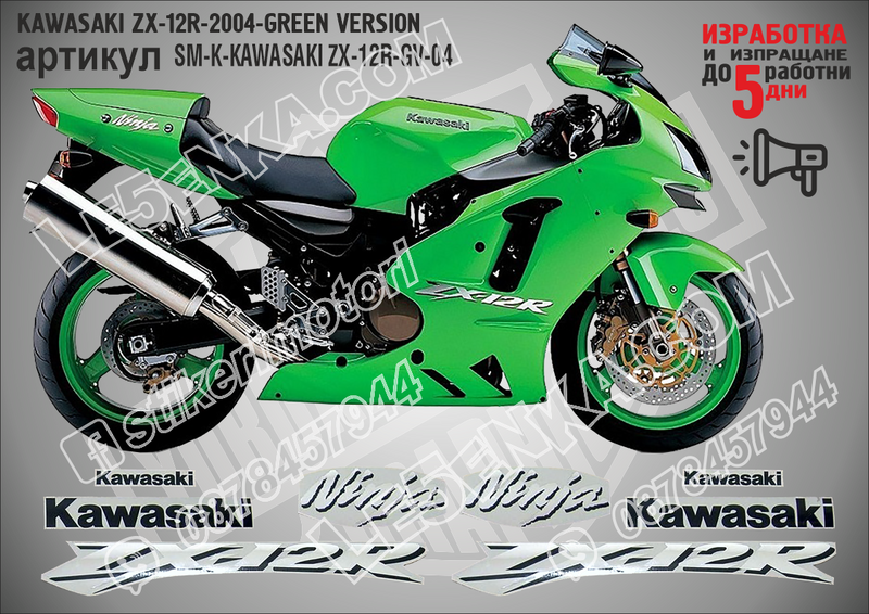Kawasaki Zx-12r-2004-green Version
